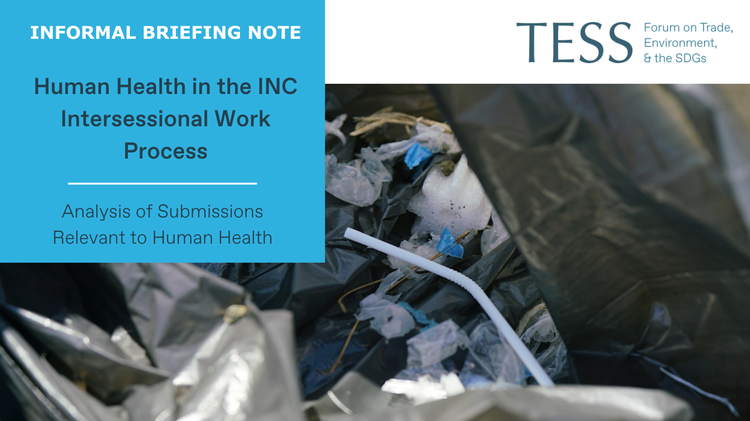 Intersessional Work TESS - Human Health in the INC Intersessional Work Process: Analysis of ...